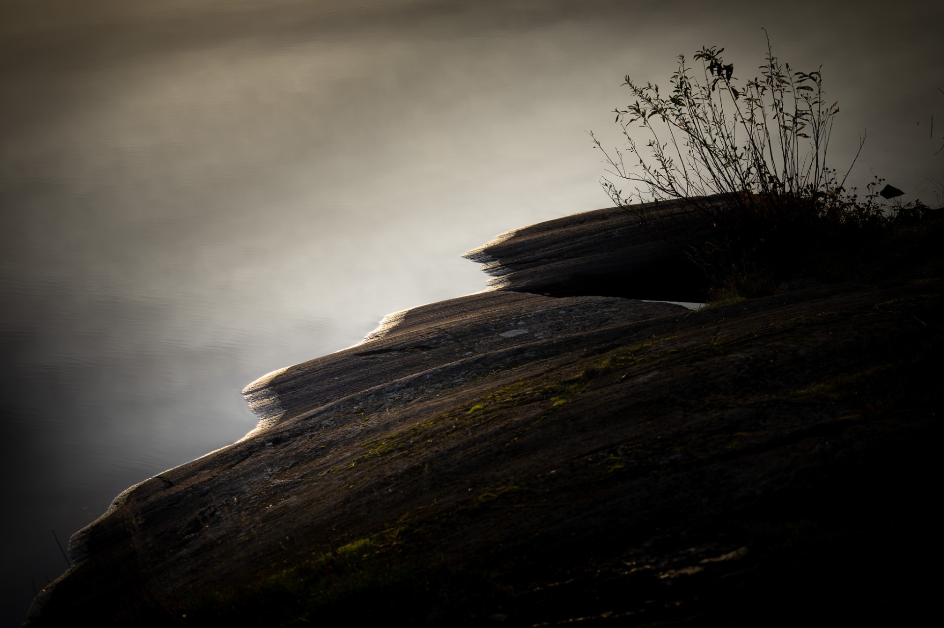 Strandkant på Nydalasjön