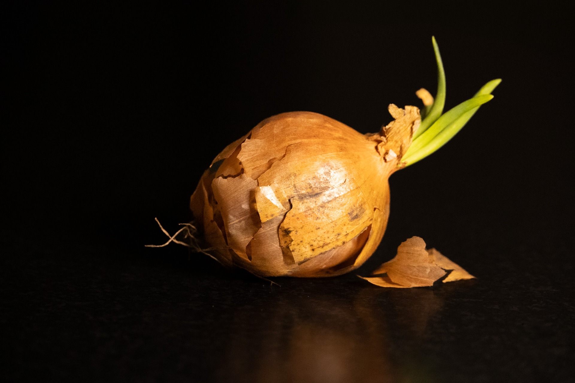 Skröpligt men liv ändå, jan.2026