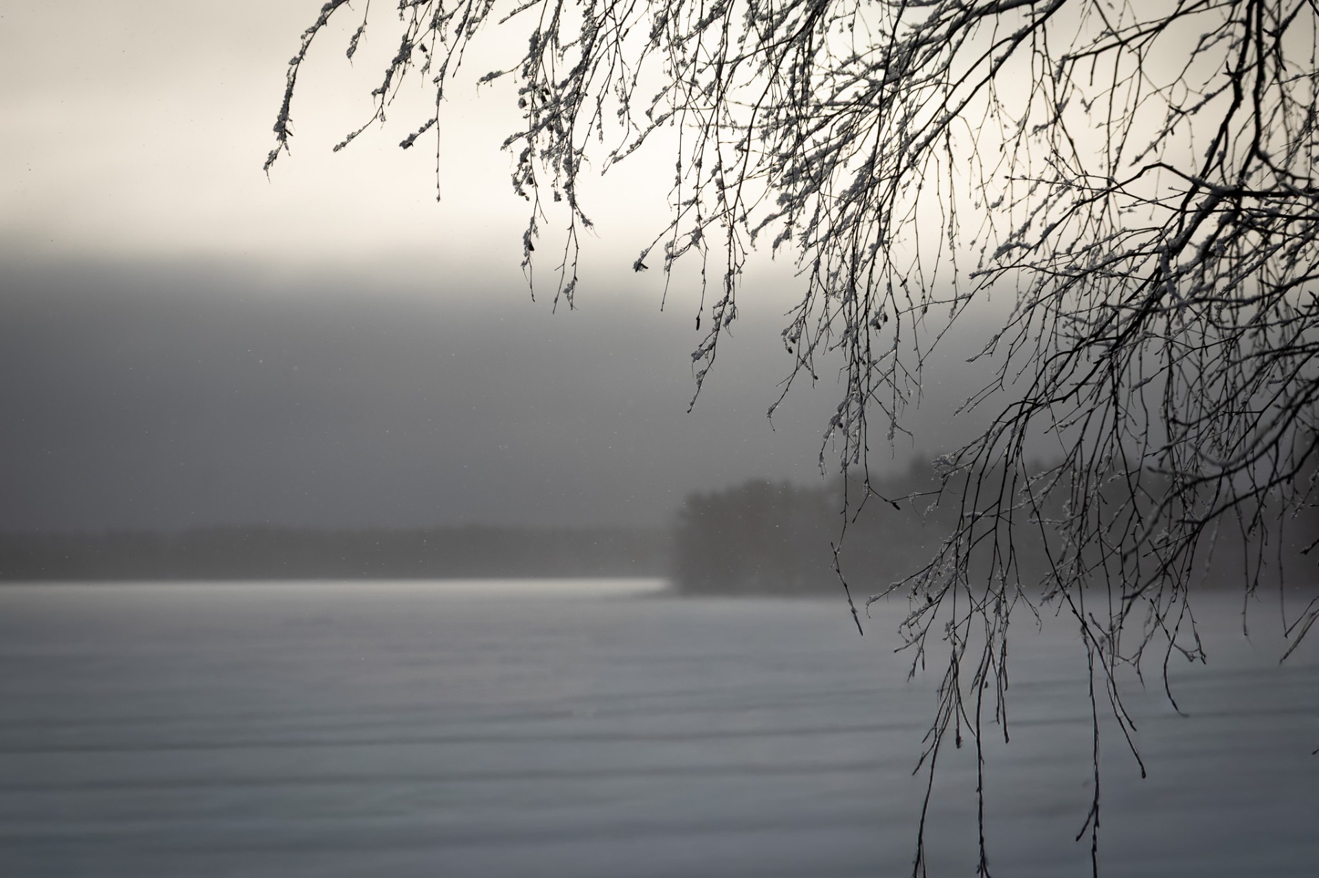 Dimmigt på Nydalasjön