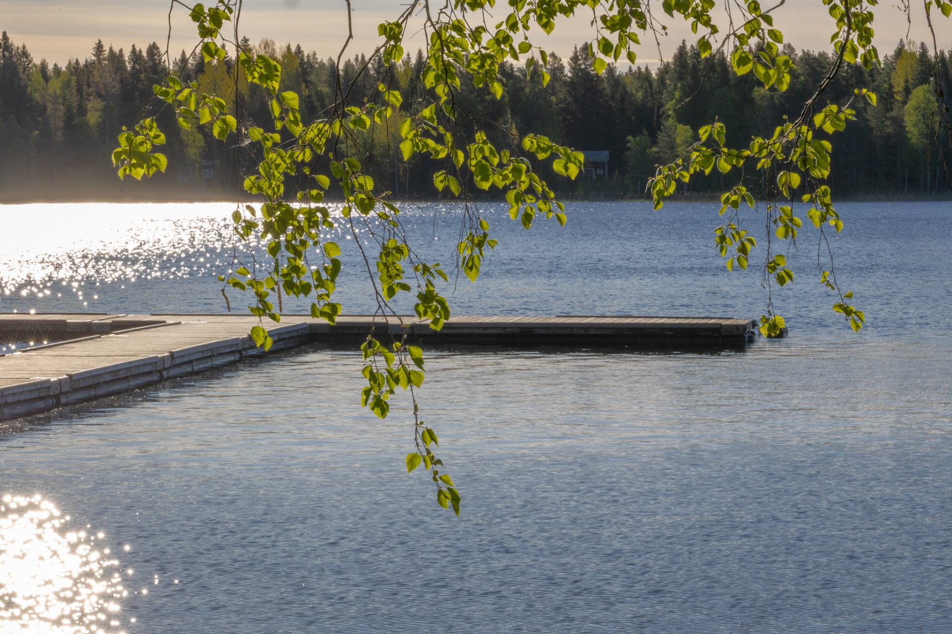 Min hemma sjö - Nydalasjön