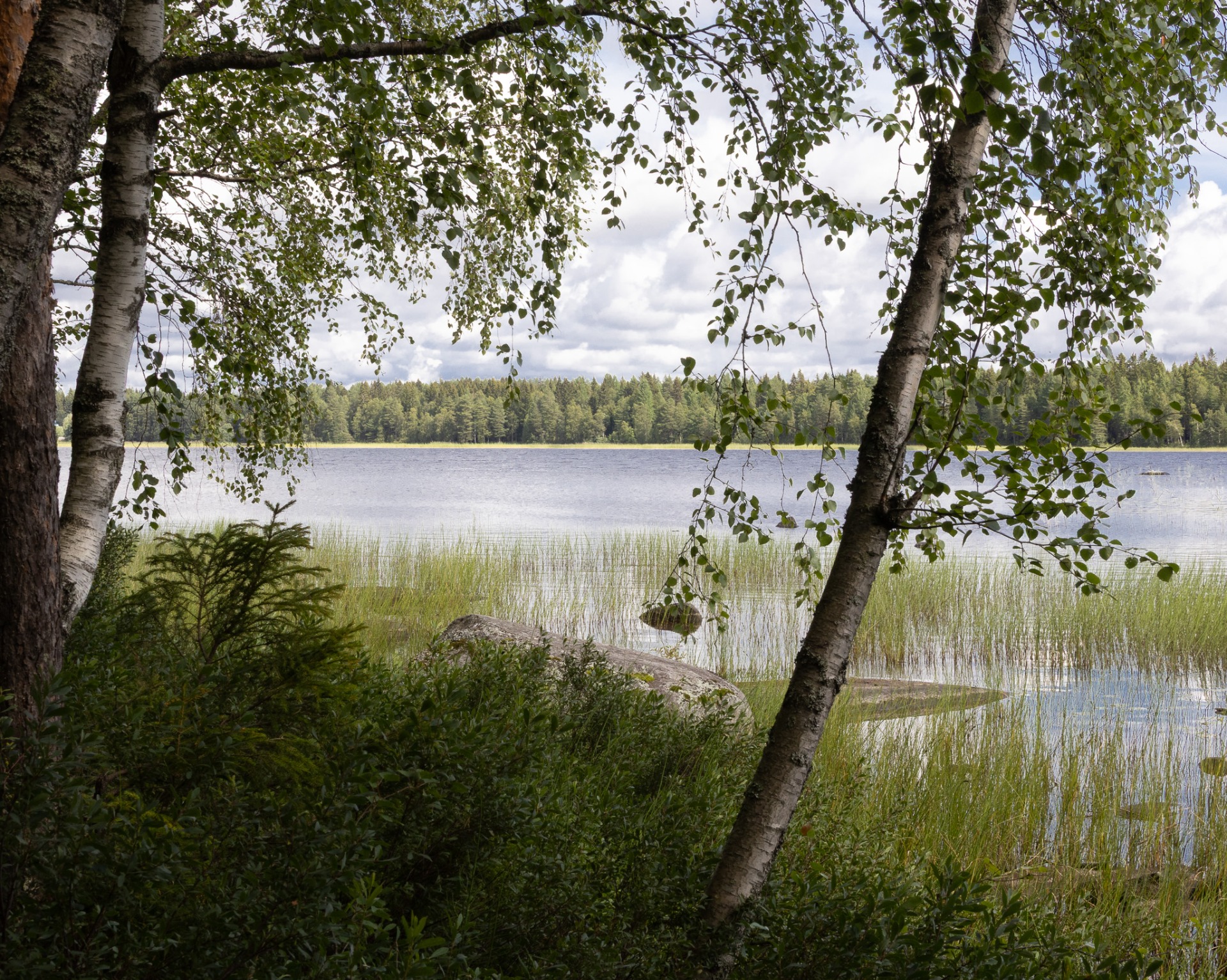 Strandkant på Nydalasjön