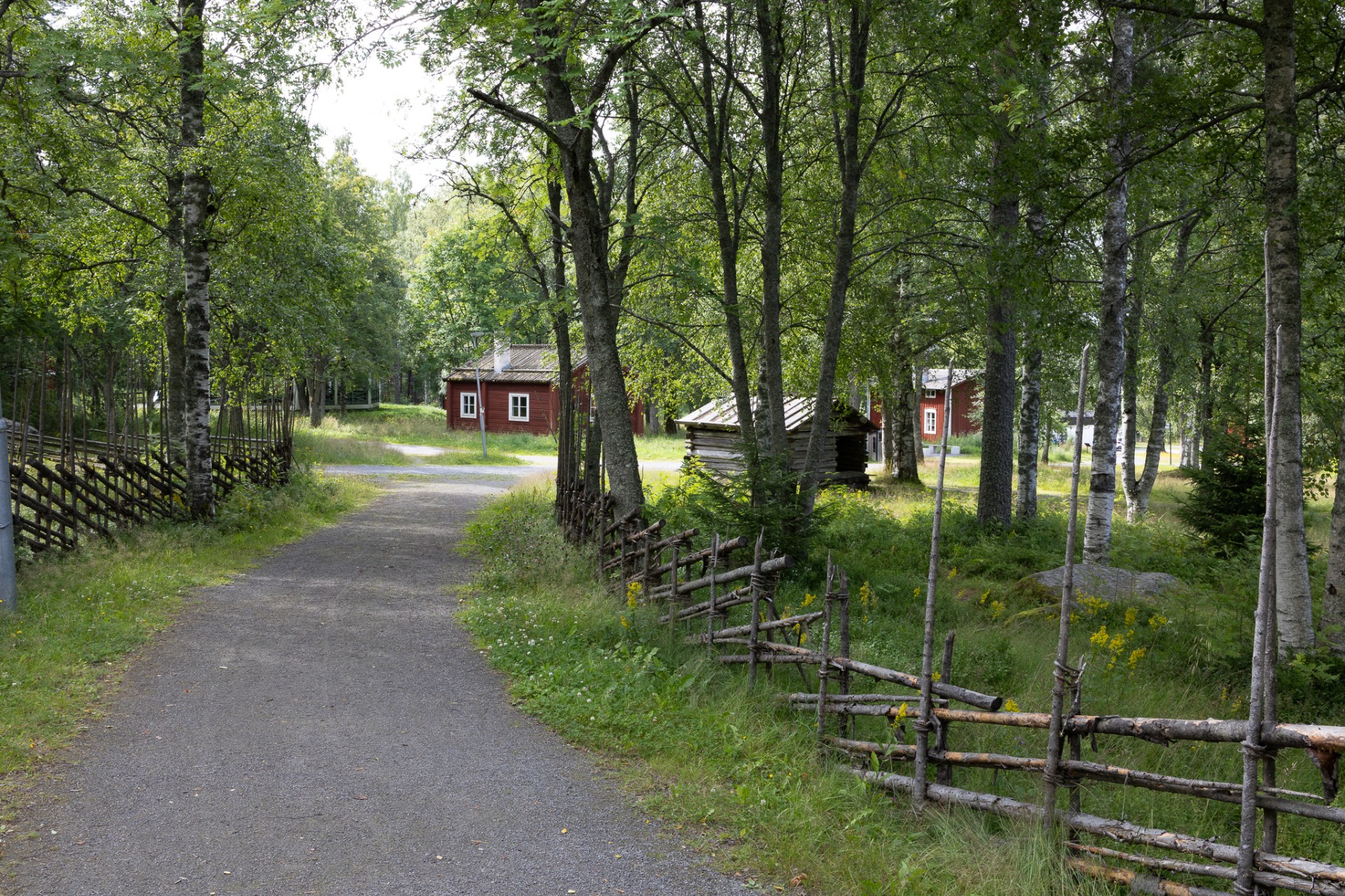 Gammlias sköna område