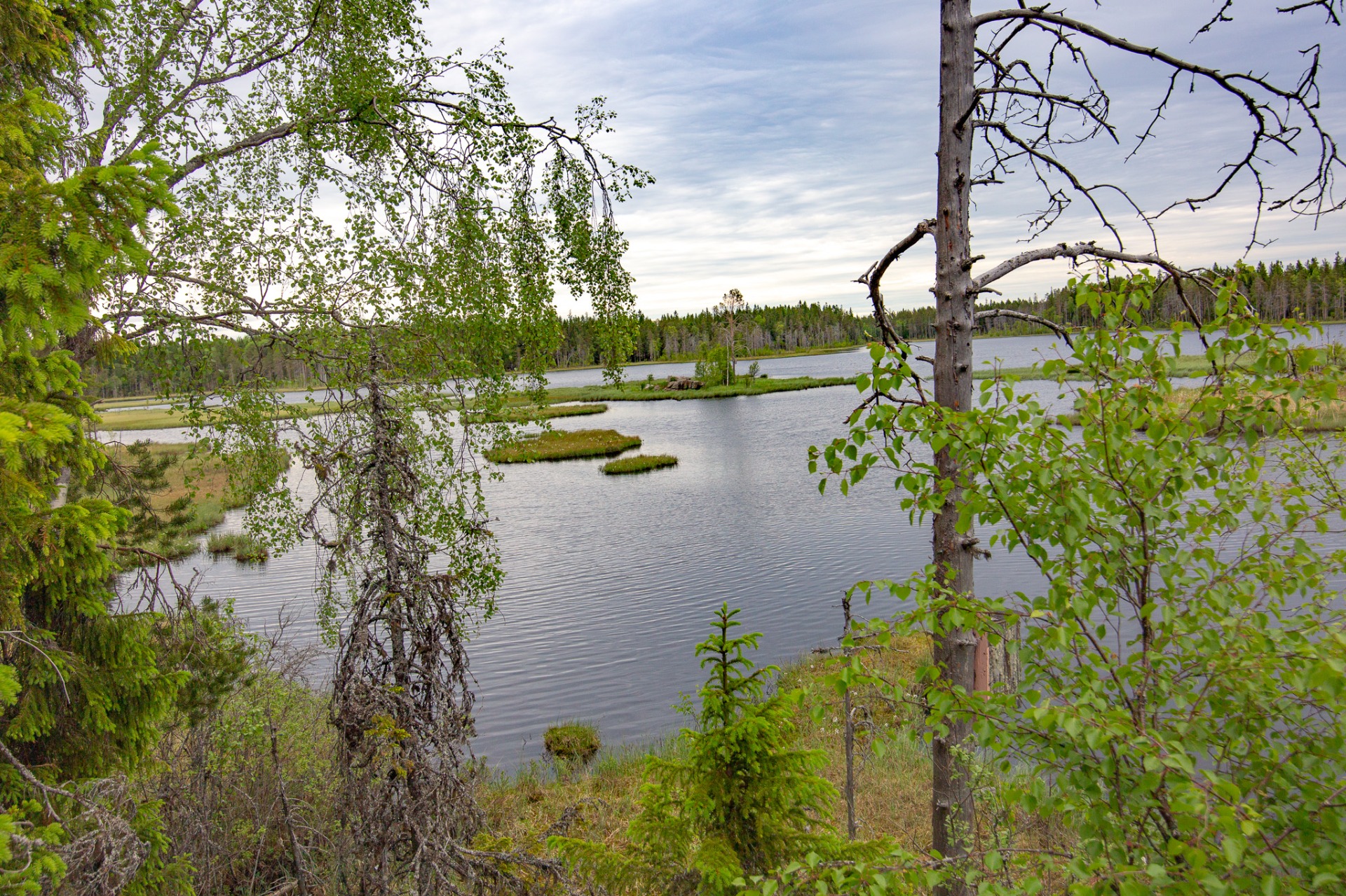 Grössjön utanför Umeå