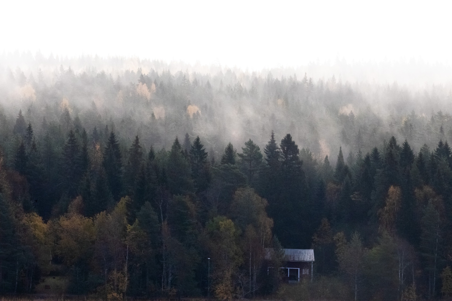 Dimma vid Nydalasjön