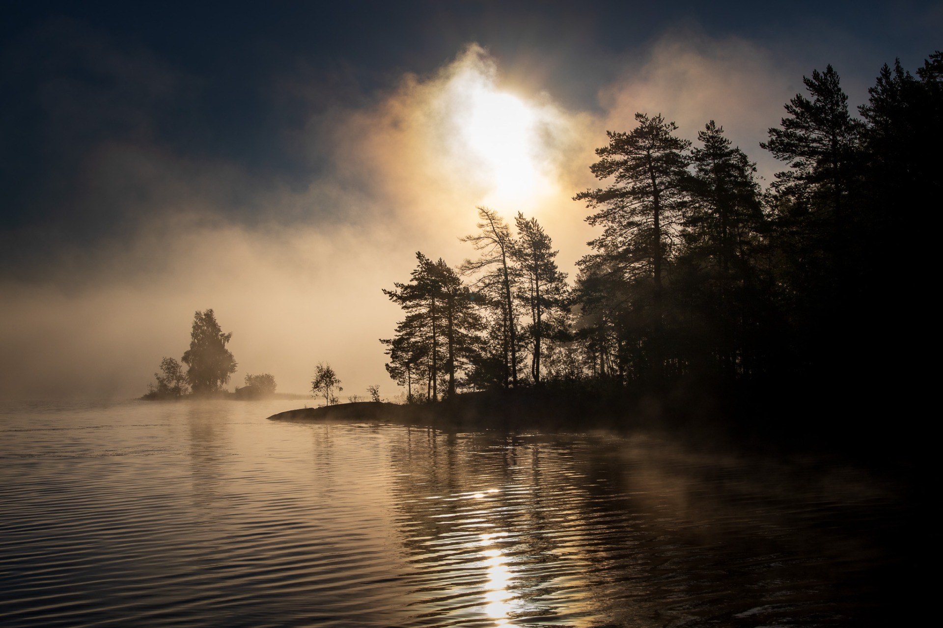 Ett CERTIFIKAT på 1X (Nydalasjön en morgon)