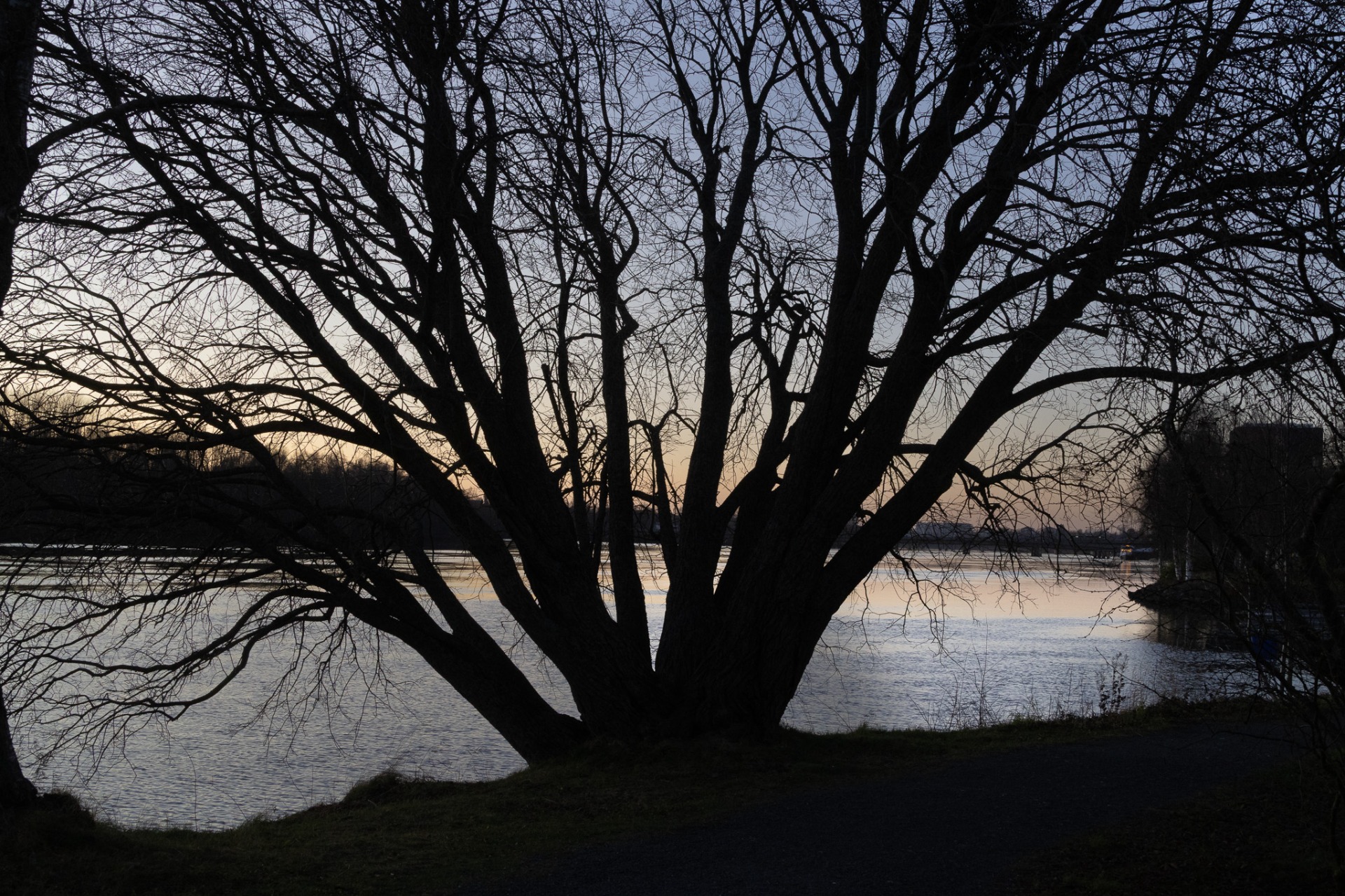 Strandpromenaden i Umeå en oktoberkväll